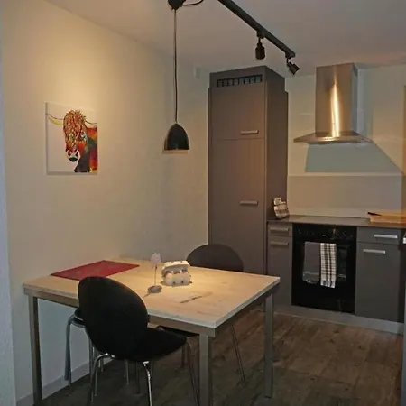 Apartment Ausstein Punkt Ch *